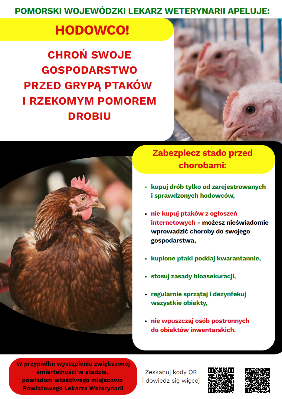 Chroń Swoje gospodarstwo przed grypą ptak&oacute;w i&nbsp;rzekomym pomorem drobiu