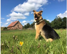 Farma Piekło