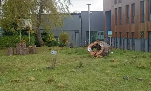 Arena Natury w ramach programu „Wzmocnij swoje otoczenie”