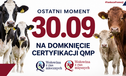 Certyfikat QMP - termin uzyskania upływa 30 września 2026 r.