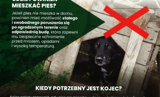 ZDEJMIJ ŁAŃCUCH - przygotuj się na zmiany w prawie