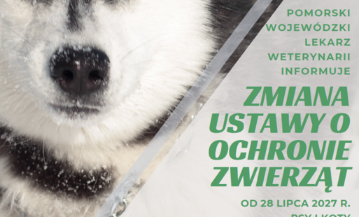 Zdjęcie do Zmiana ustawy o ochronie zwierząt